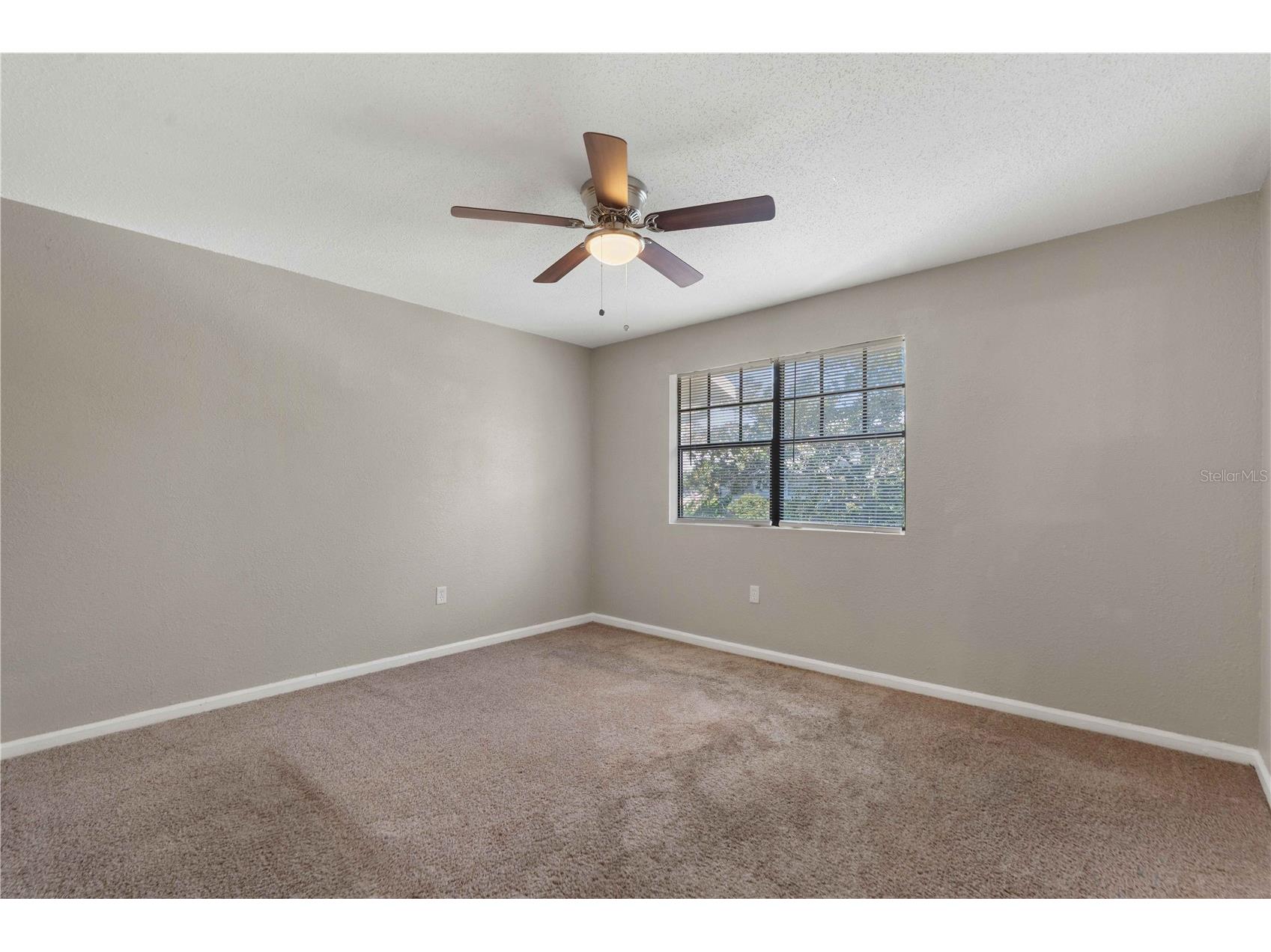 204 Pine Tulip Court #201 Tampa FL 33612 W7886955 image5