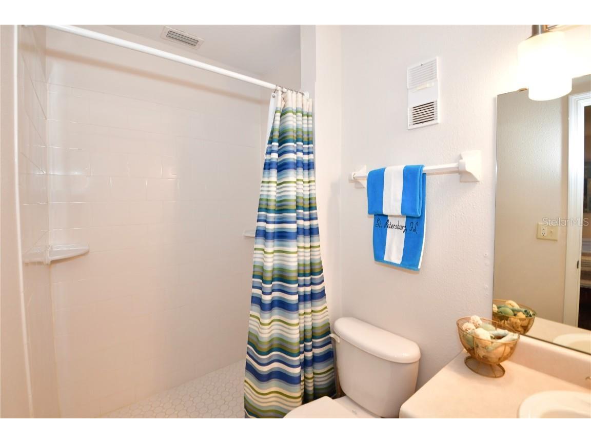 204 Pompano Drive SE #D Saint Petersburg FL 33705 - BIG BAYOU TB8395961 image28