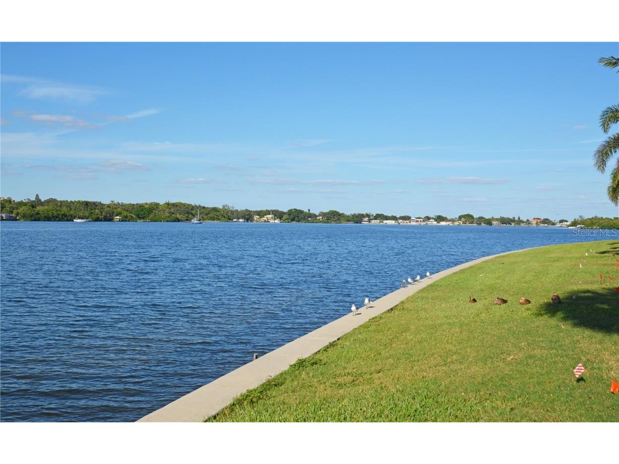 204 Pompano Drive SE #D Saint Petersburg FL 33705 - BIG BAYOU TB8395961 image48