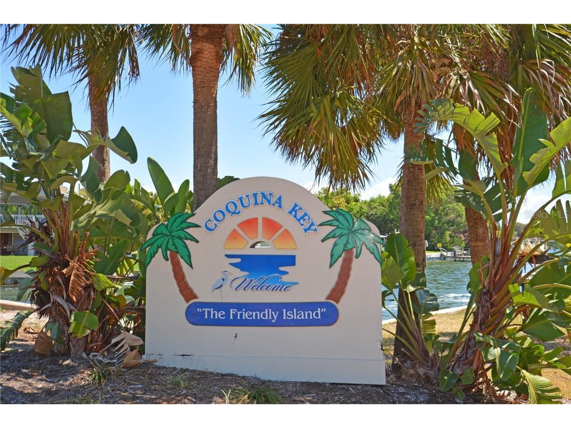 204 Pompano Drive SE #D Saint Petersburg FL 33705 - BIG BAYOU TB8395961 image50