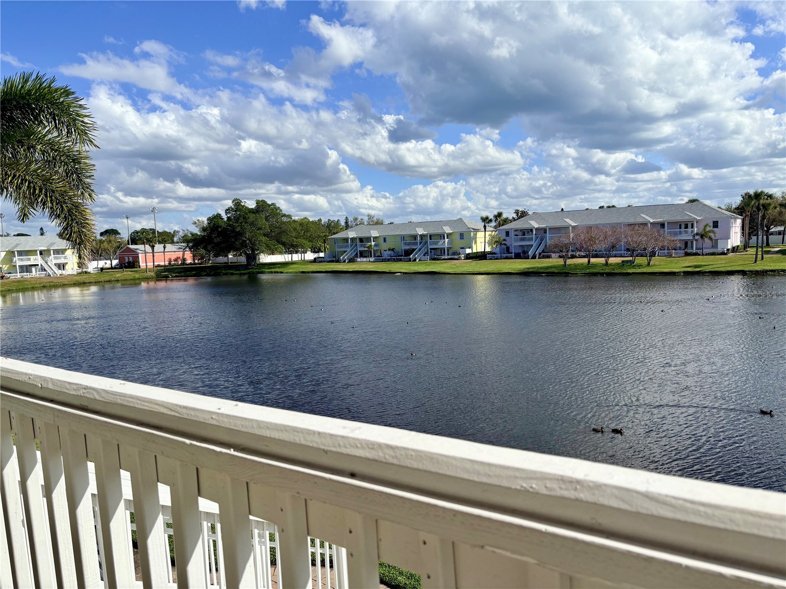 204 Pompano Drive SE #D Saint Petersburg FL 33705 - BIG BAYOU LAKE TB8489225 image23