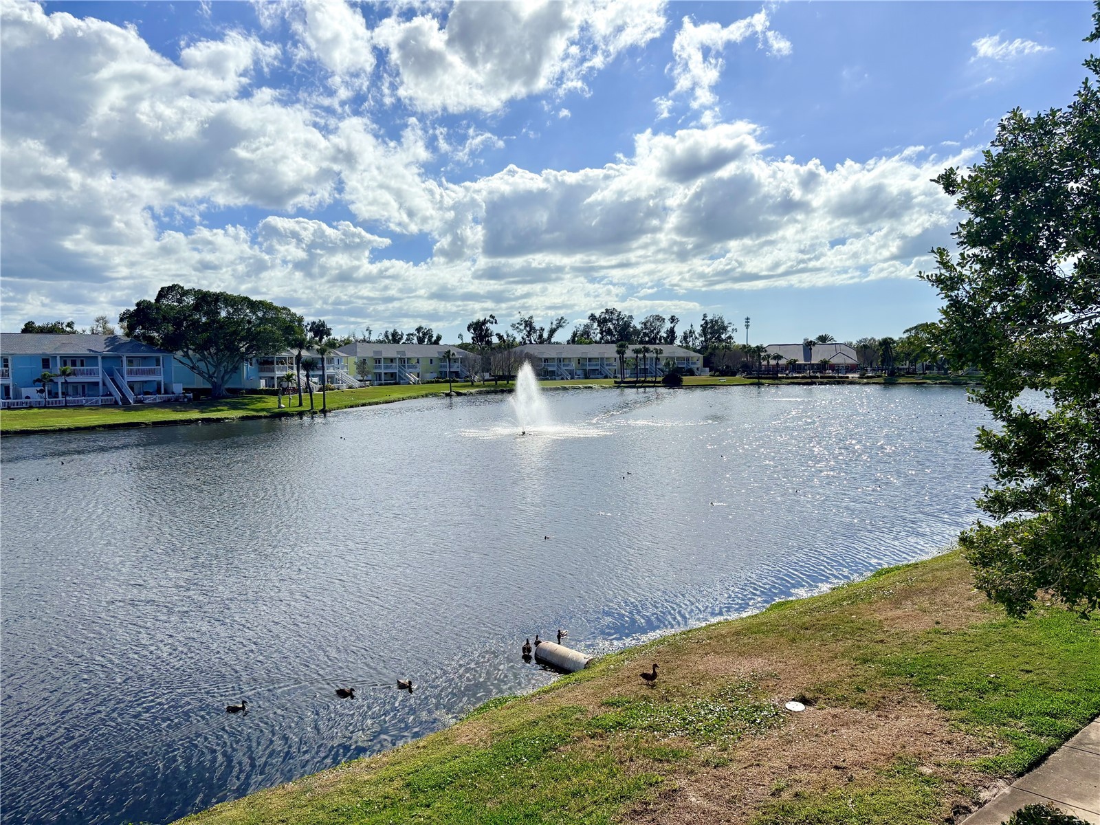 204 Pompano Drive SE #D Saint Petersburg FL 33705 - BIG BAYOU LAKE TB8489225 image24