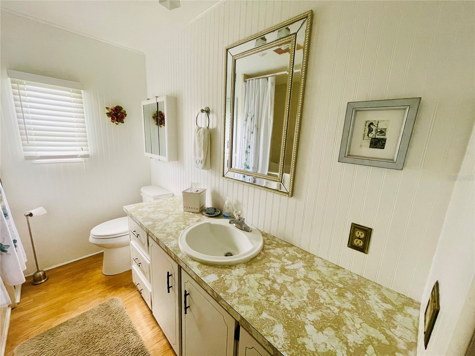 204 Red Maple Drive Palm Harbor FL 34684 TB8493661 image15