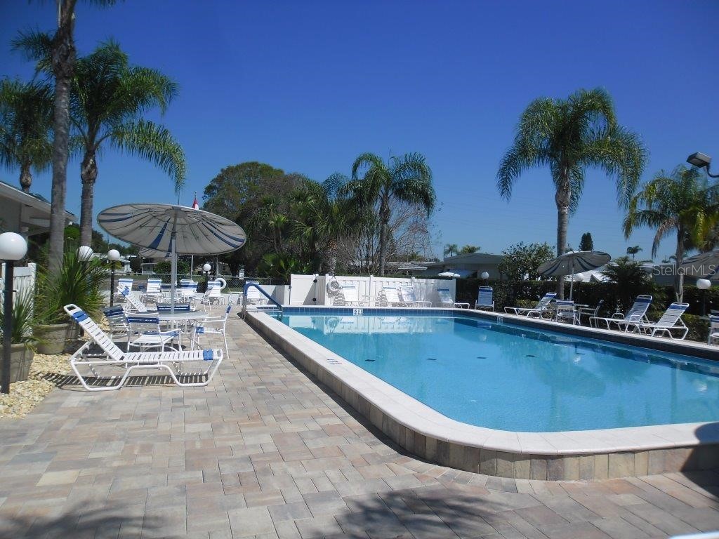 204 Red Maple Drive Palm Harbor FL 34684 TB8493661 image23