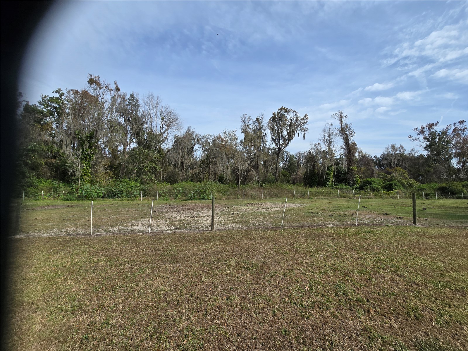 204 S Orange Avenue Fort Meade FL 33841 TB8415439 image36