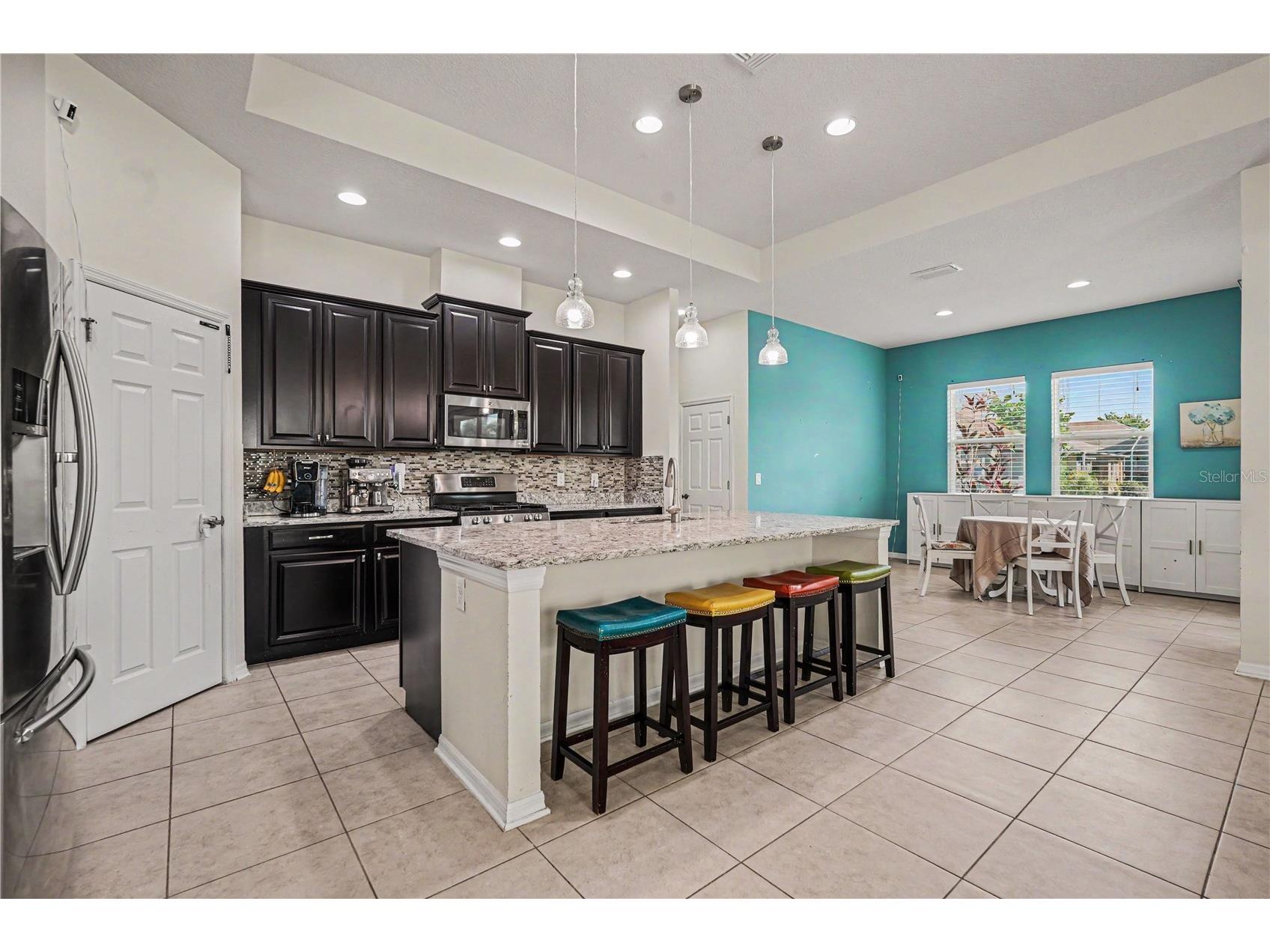 204 Shell Creek Court Apollo Beach FL 33572 TB8511812 image11