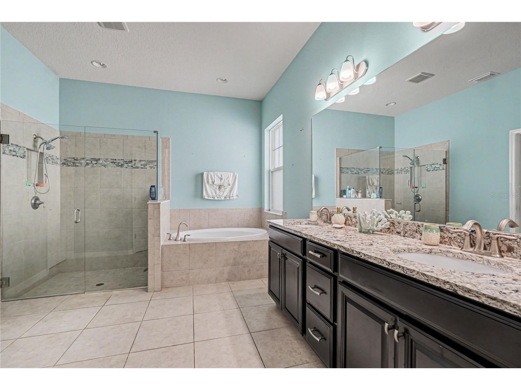 204 Shell Creek Court Apollo Beach FL 33572 TB8511812 image18