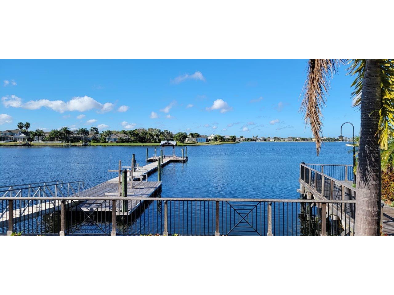 204 Shell Creek Court Apollo Beach FL 33572 TB8511812 image29