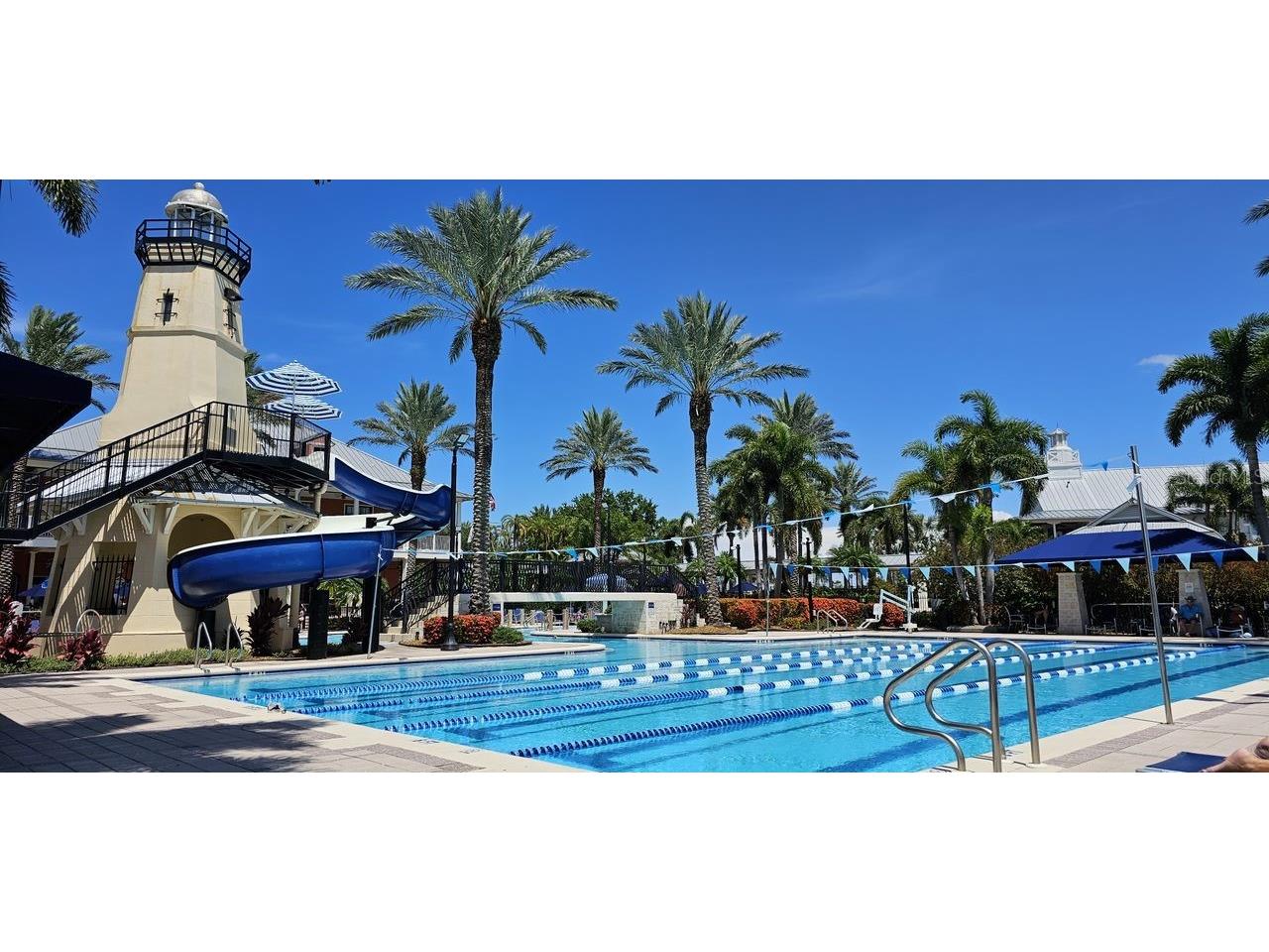 204 Shell Creek Court Apollo Beach FL 33572 TB8511812 image33