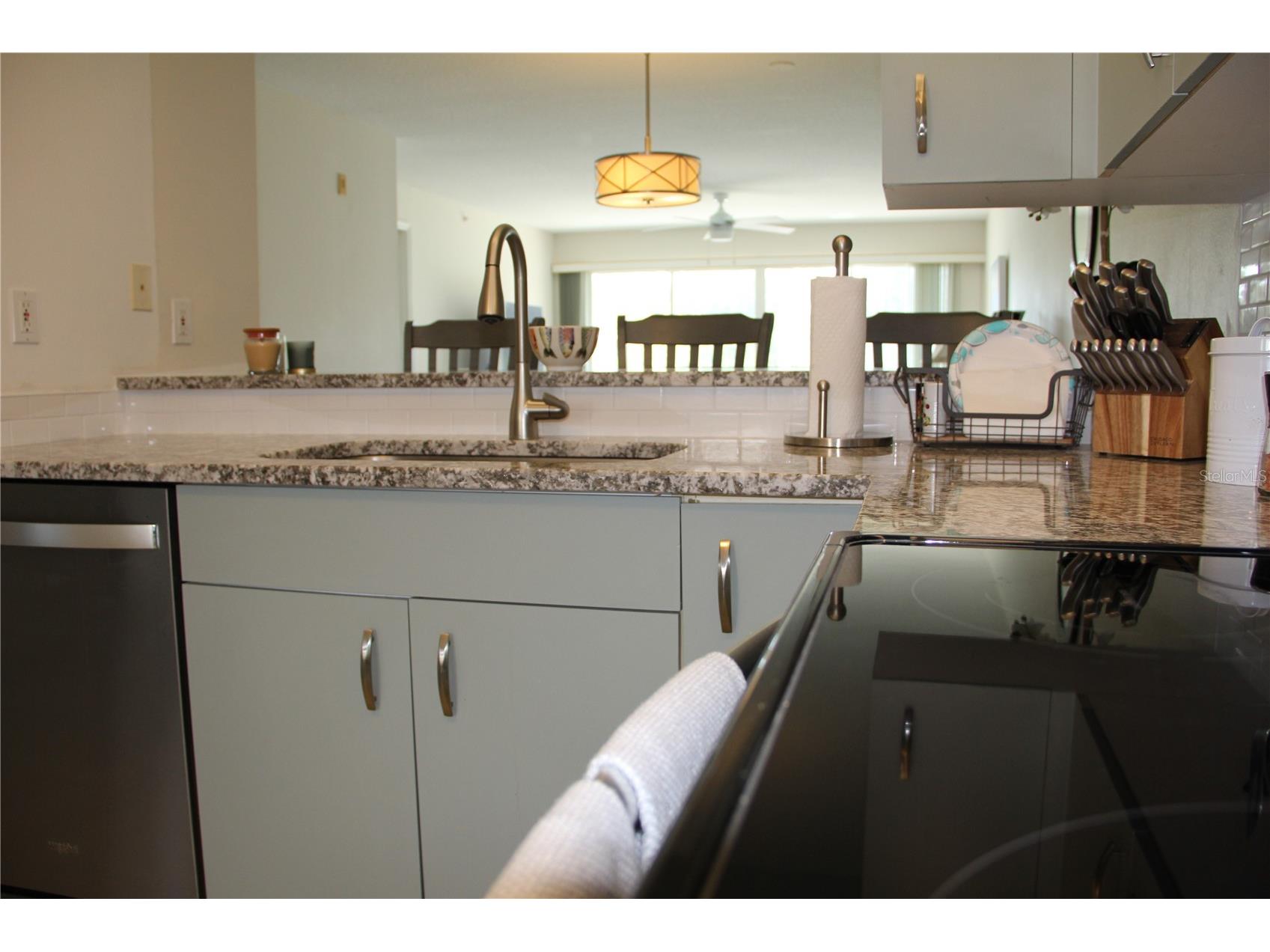 204 Silver Lake Drive #102 Venice FL 34292 A4685318 image15