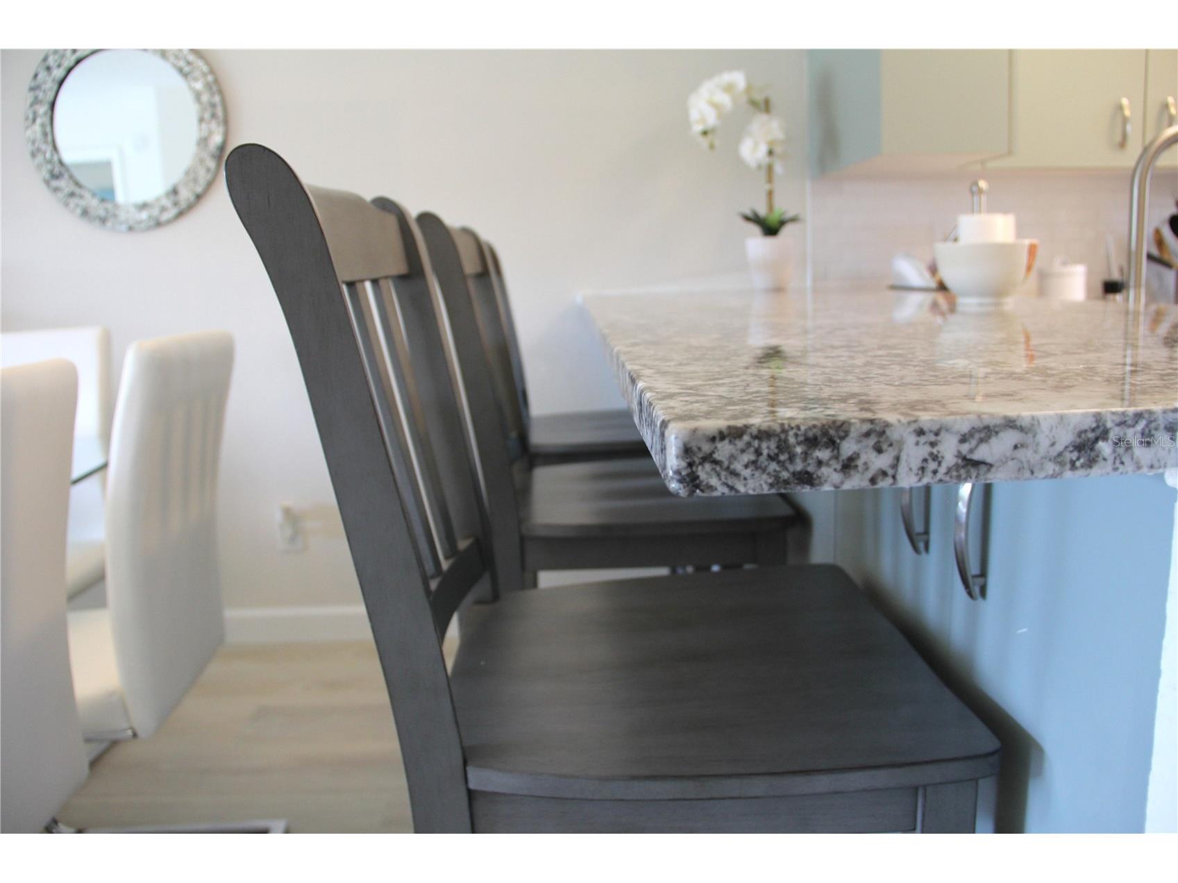 204 Silver Lake Drive #102 Venice FL 34292 A4685318 image17