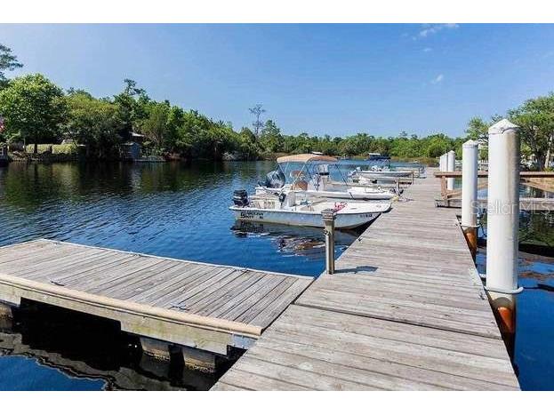 204 Virginia Avenue Steinhatchee FL 32359 FC306722 image43