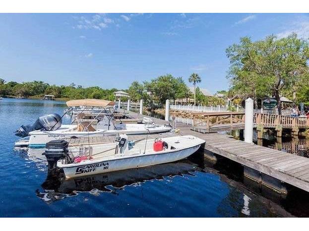 204 Virginia Avenue Steinhatchee FL 32359 FC306722 image44