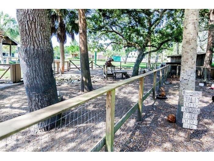 204 Virginia Avenue Steinhatchee FL 32359 FC306722 image51