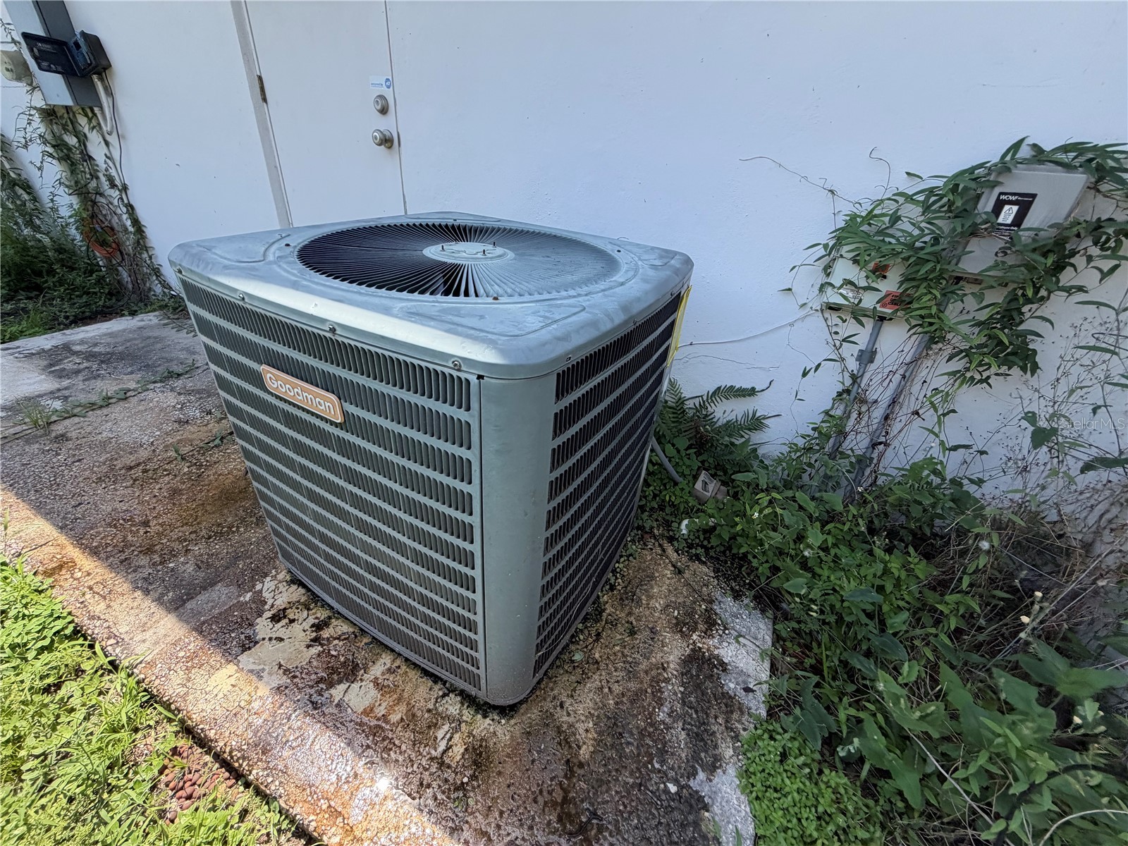 204 W Ridgewood Court Longwood FL 32779 TB8515106 image7