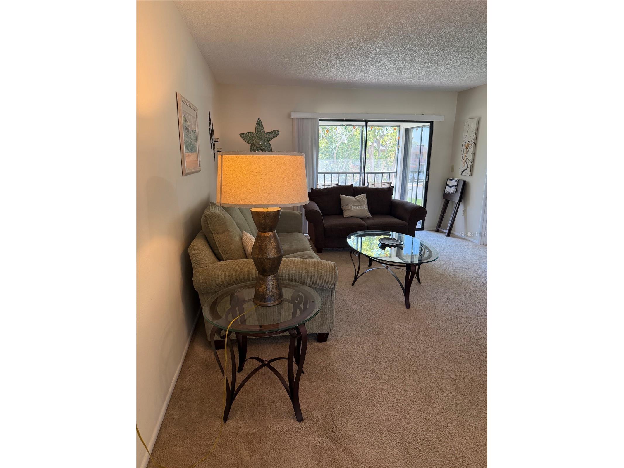 204 Windward Place #36 Oldsmar FL 34677 A4686982 image11