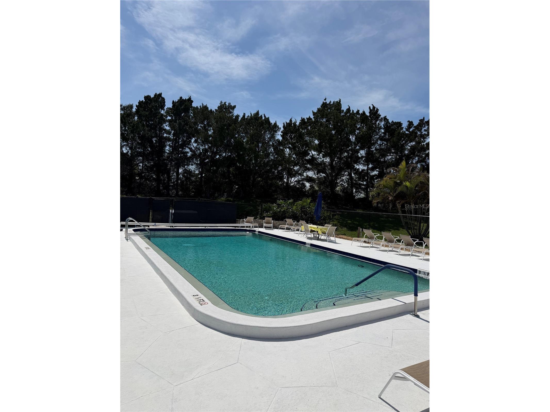 204 Windward Place #36 Oldsmar FL 34677 A4686982 image29