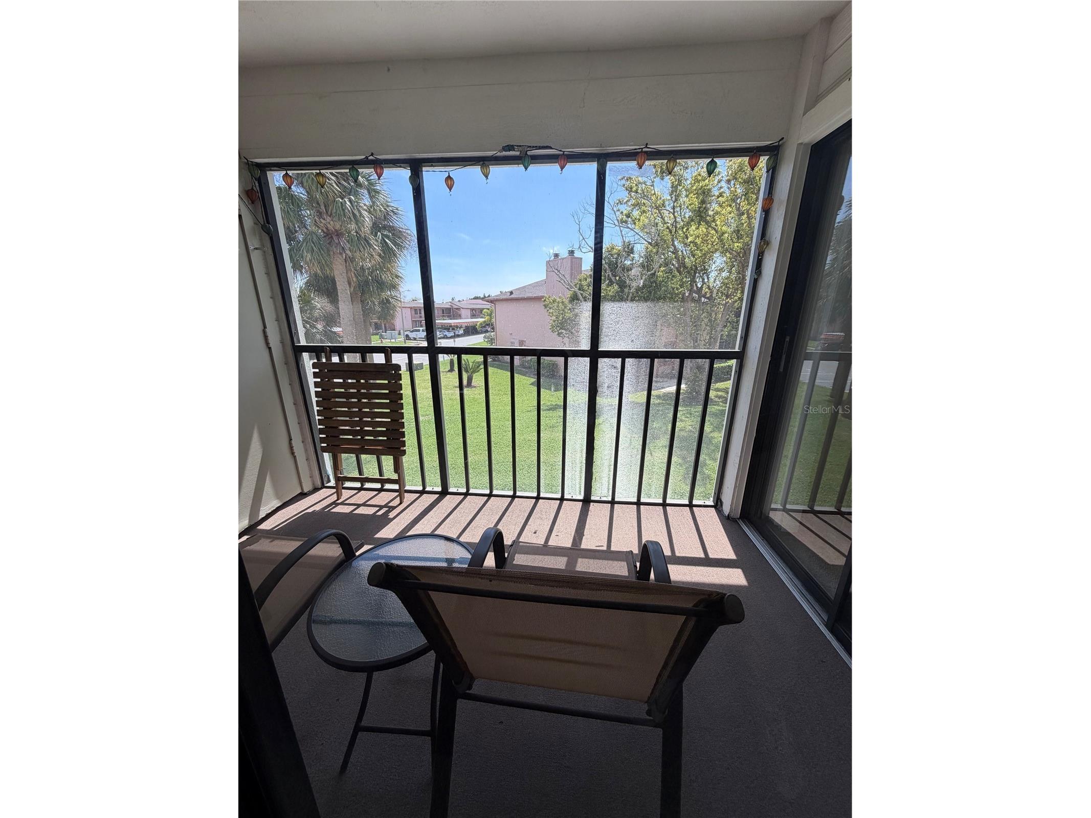 204 Windward Place #36 Oldsmar FL 34677 A4686982 image34