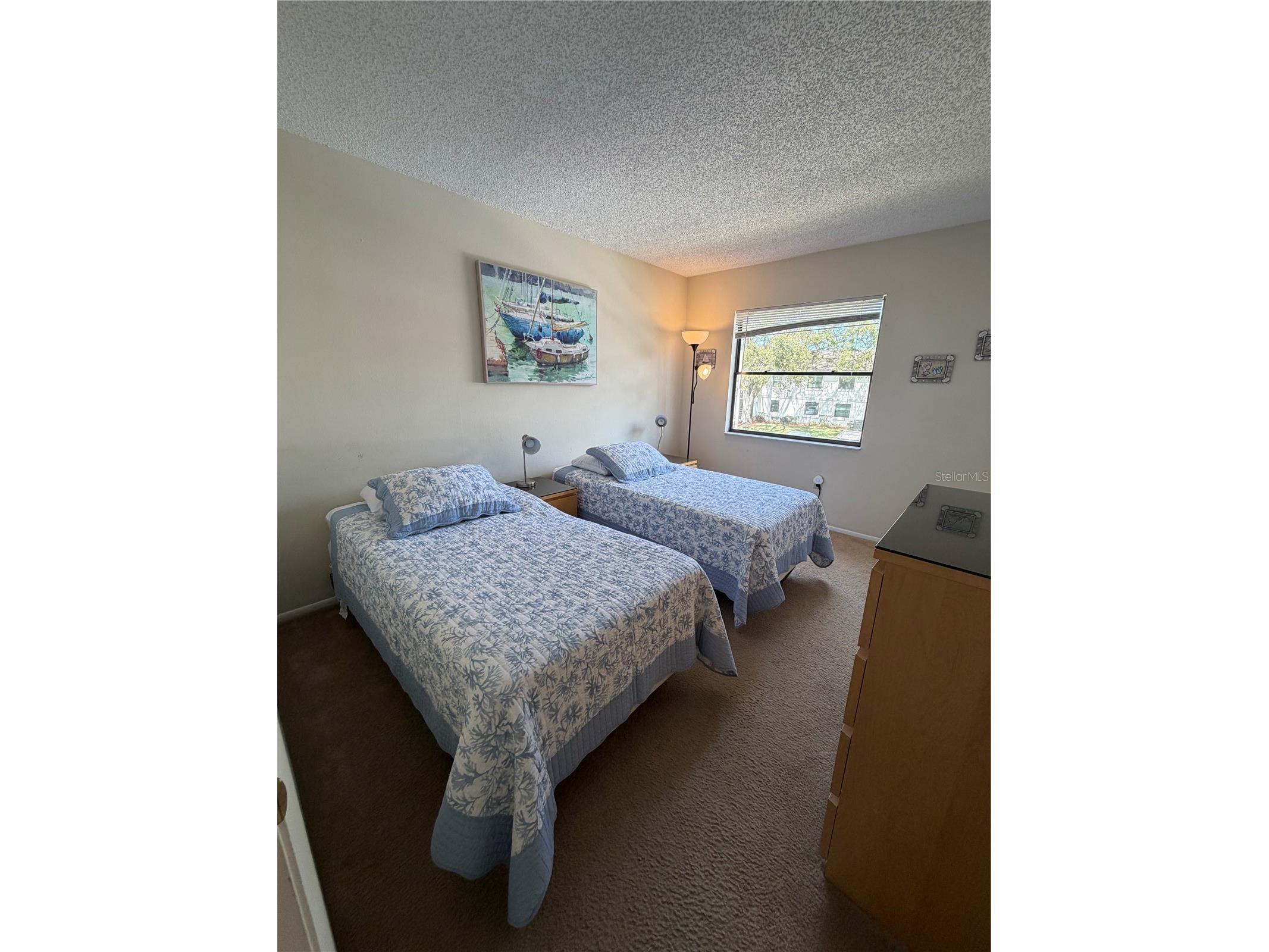 204 Windward Place #36 Oldsmar FL 34677 A4686982 image37
