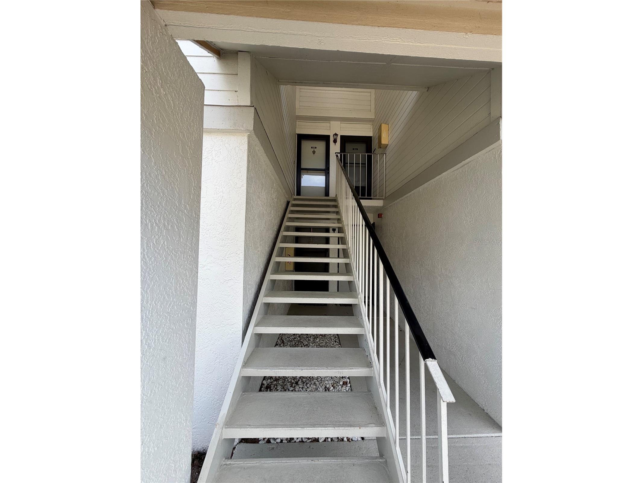 204 Windward Place #36 Oldsmar FL 34677 A4686982 image38