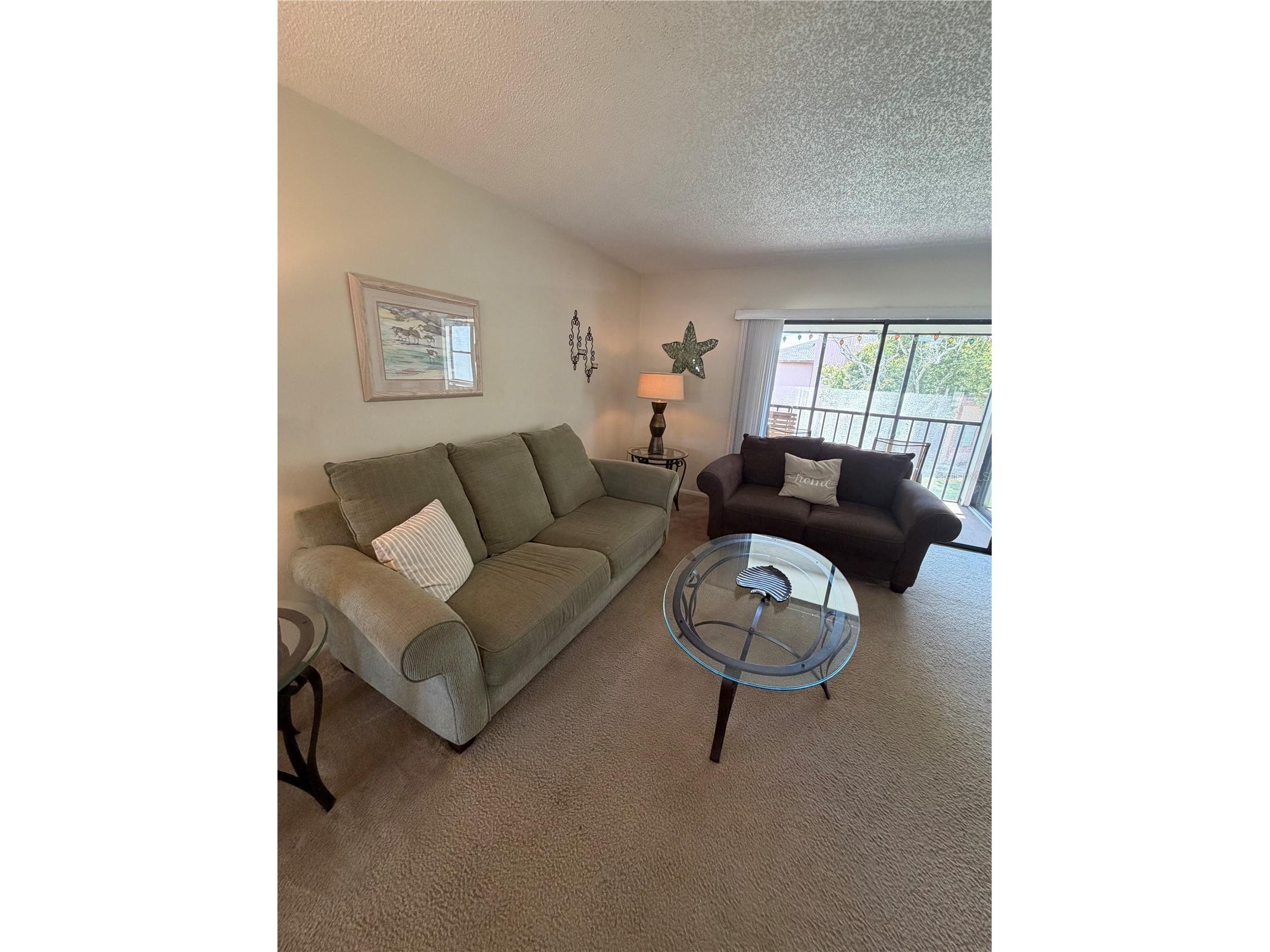 204 Windward Place #36 Oldsmar FL 34677 A4686982 image4