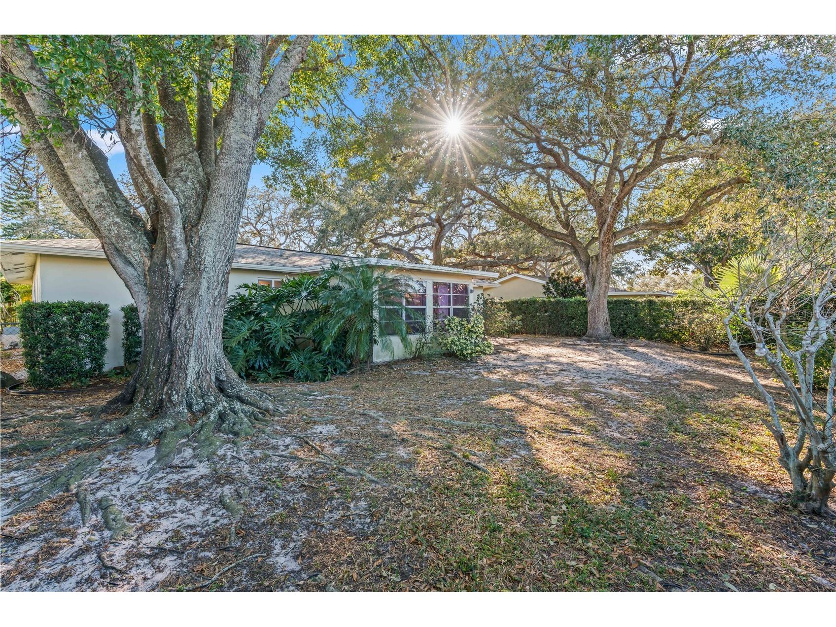 2040 Forest Drive Clearwater FL 33763 TB8463647 image26