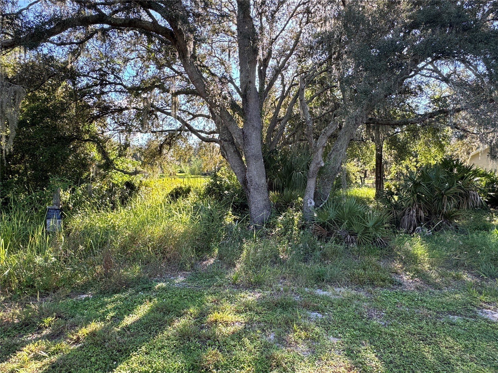 2040 N Morningside Road Avon Park FL 33825 TB8467286 image3