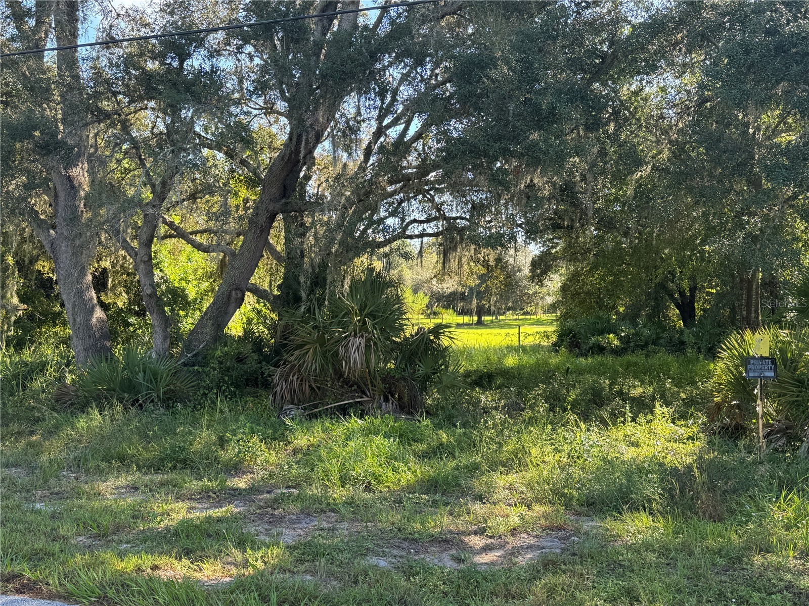 2040 N Morningside Road Avon Park FL 33825 TB8467286 image4