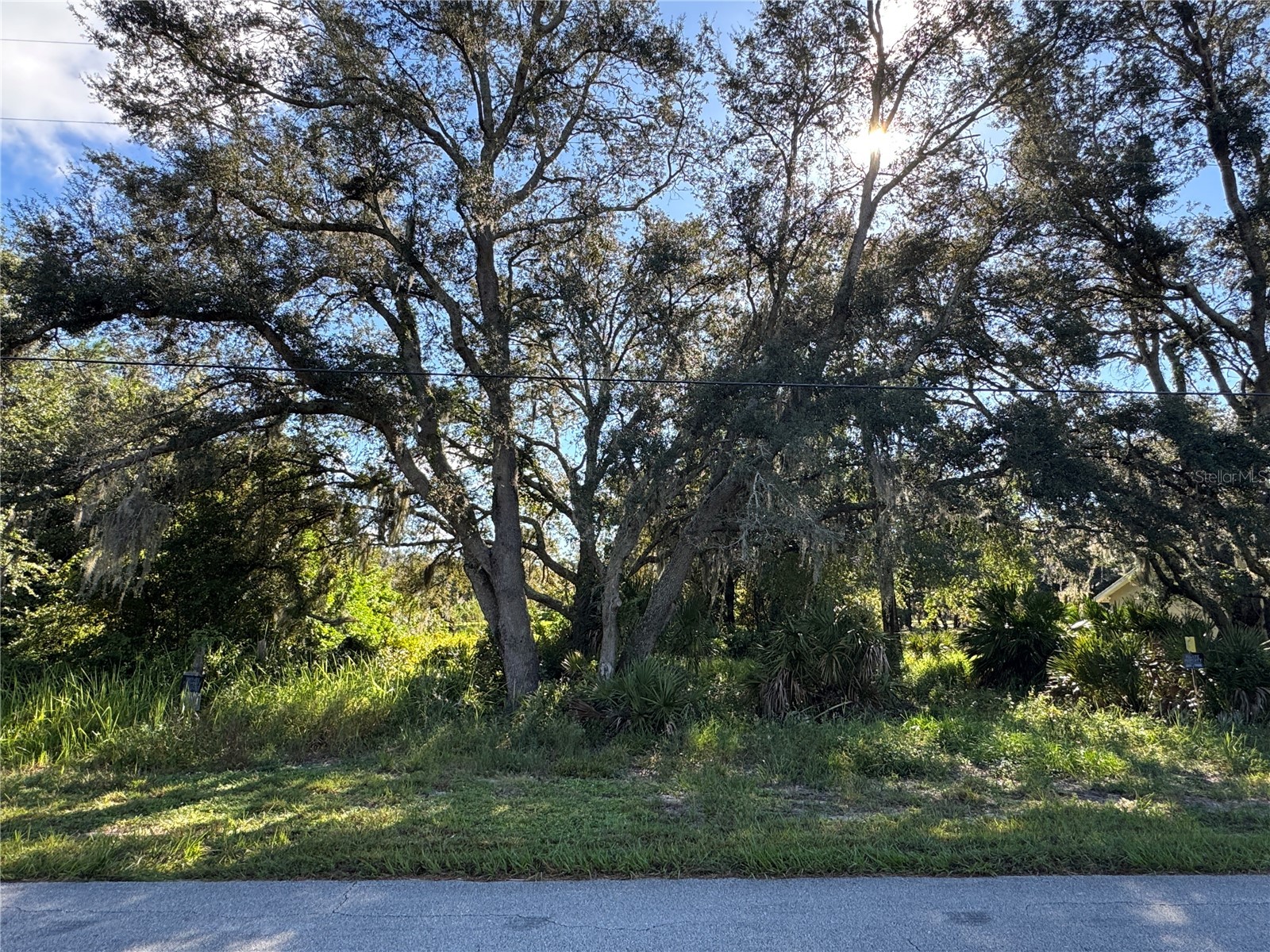 2040 N Morningside Road Avon Park FL 33825 TB8467286 image6