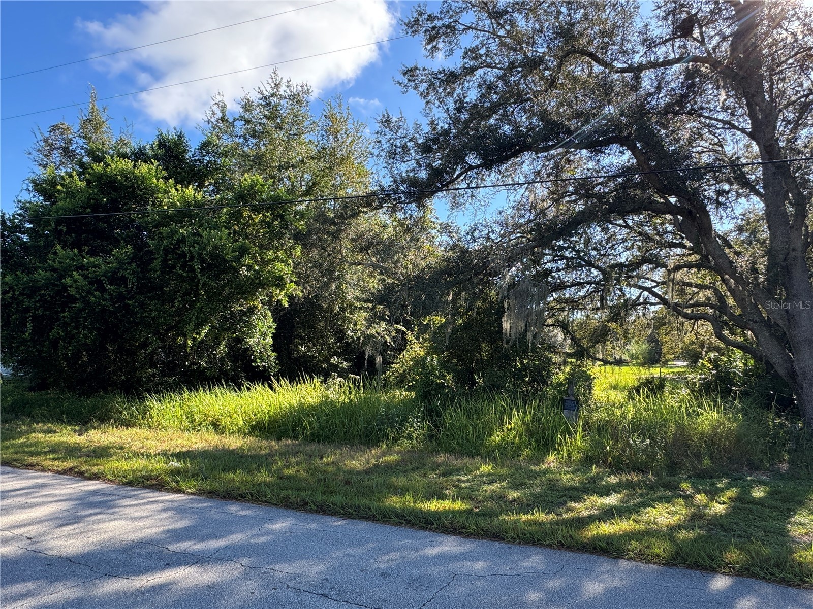 2040 N Morningside Road Avon Park FL 33825 TB8467286 image8