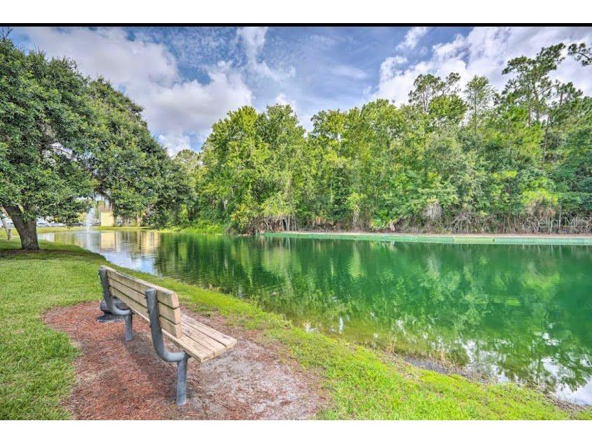 2040 Royal Bay Boulevard #30 Kissimmee FL 34746 O6364285 image38