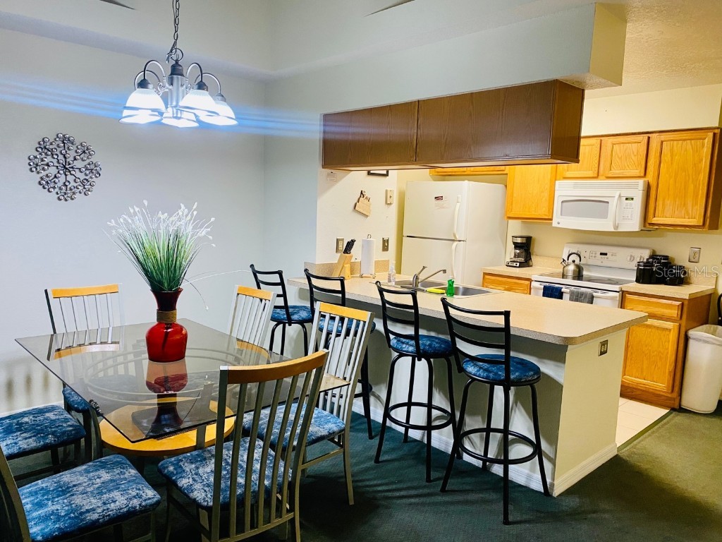 2040 Royal Bay Boulevard #30 Kissimmee FL 34746 O6364285 image8