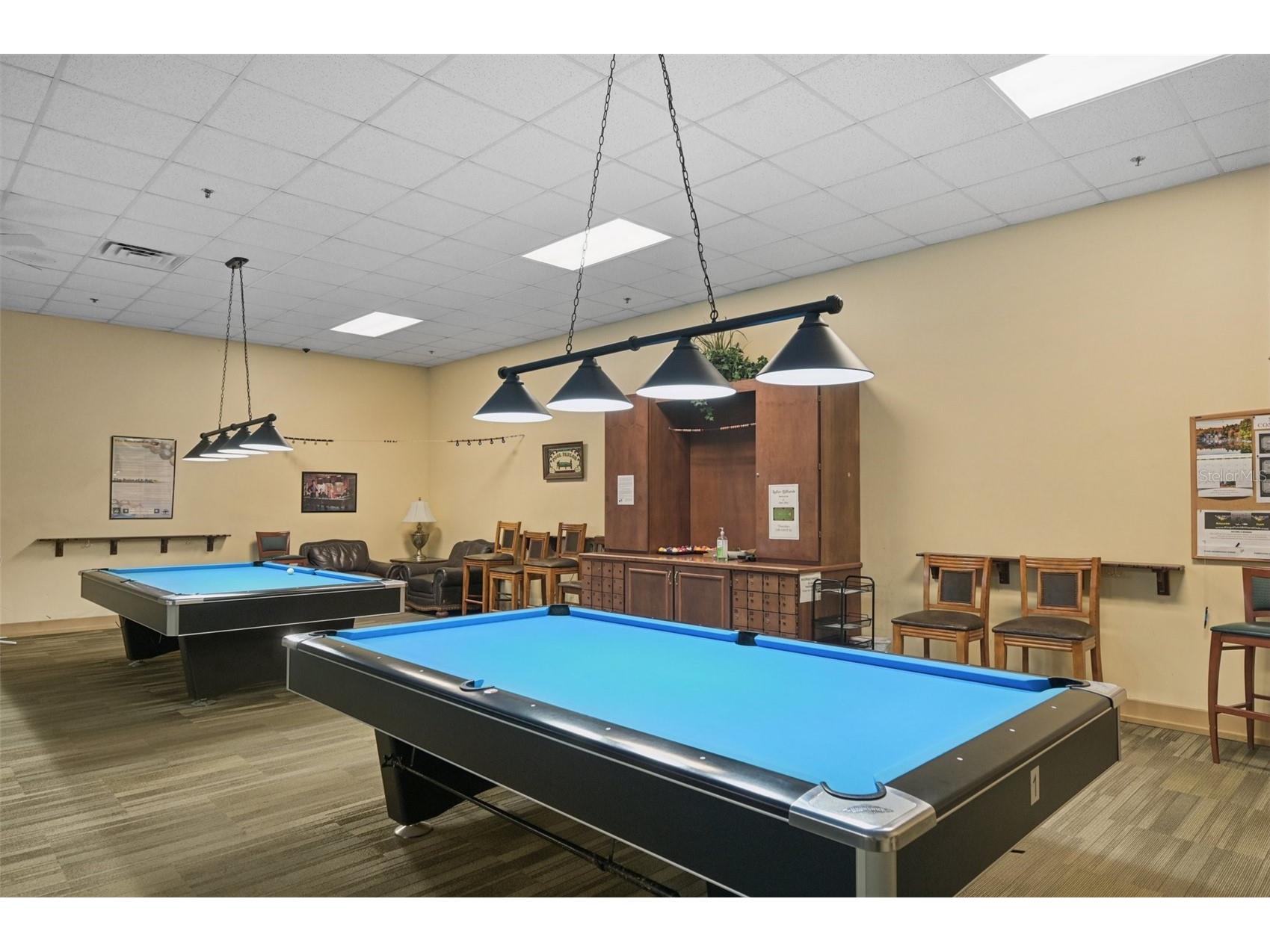 2040 Sifield Greens Way #2040 Sun City Center FL 33573 TB8524723 image38