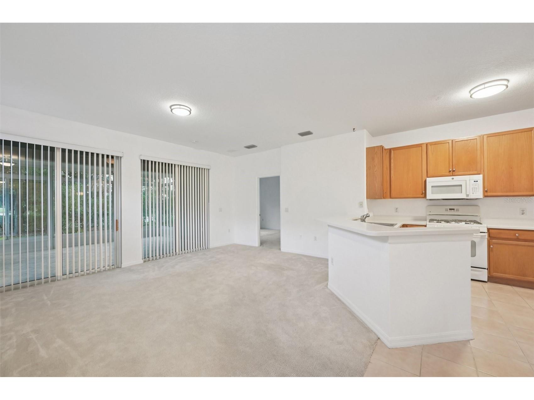 2040 Sifield Greens Way #2040 Sun City Center FL 33573 TB8524723 image5