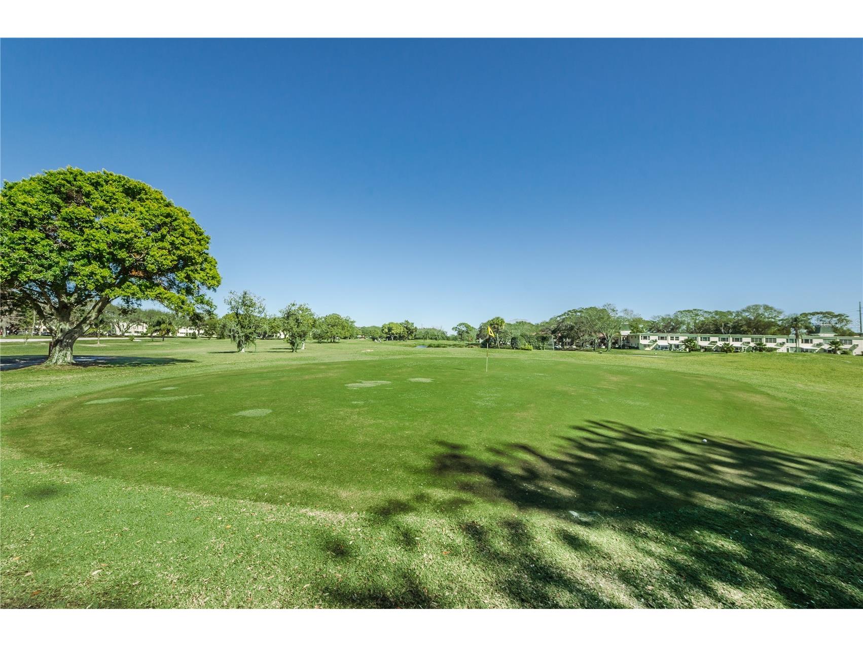 2040 World Parkway Boulevard #12 Clearwater FL 33763 - HARBOR LAKE - WEST SIDE TB8492089 image44