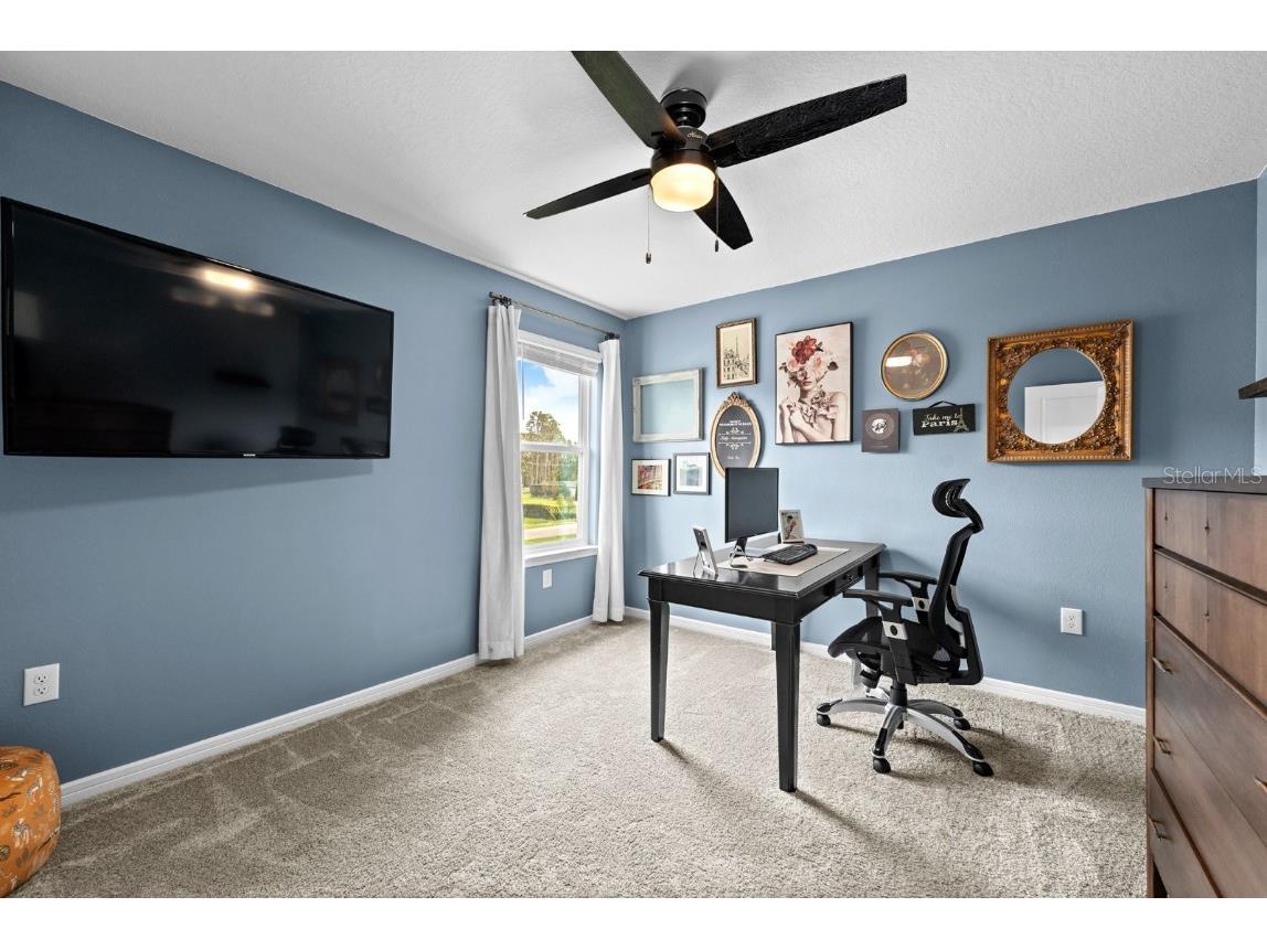 20402 Monza Loop Land O Lakes FL 34638 TB8435760 image23