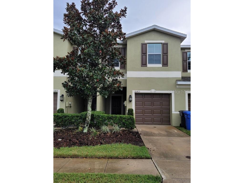 20403 Berrywood Lane Tampa FL 33647 T3502586 image1