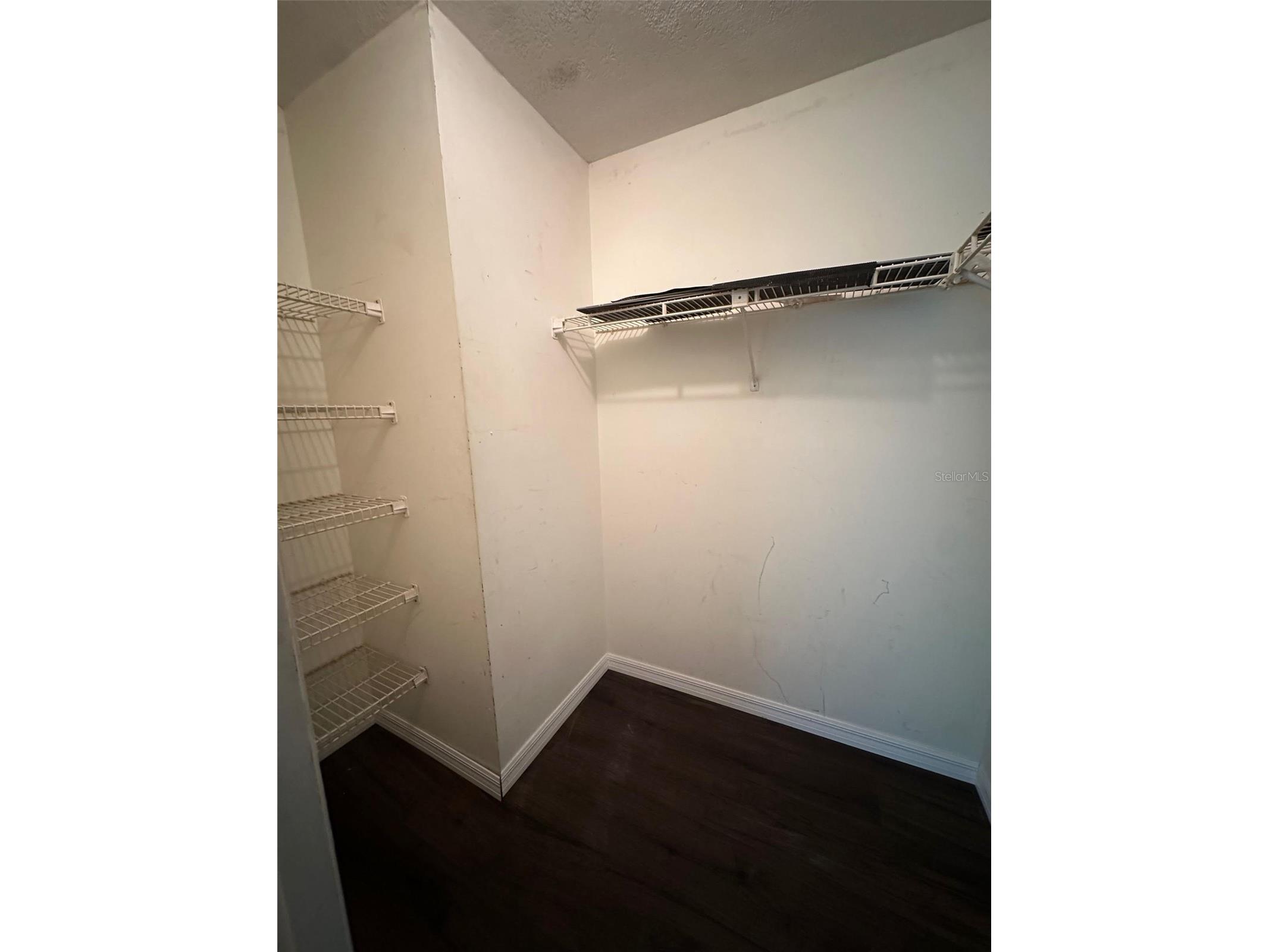 20403 Gamble Drive Brooksville FL 34601 TB8486924 image22