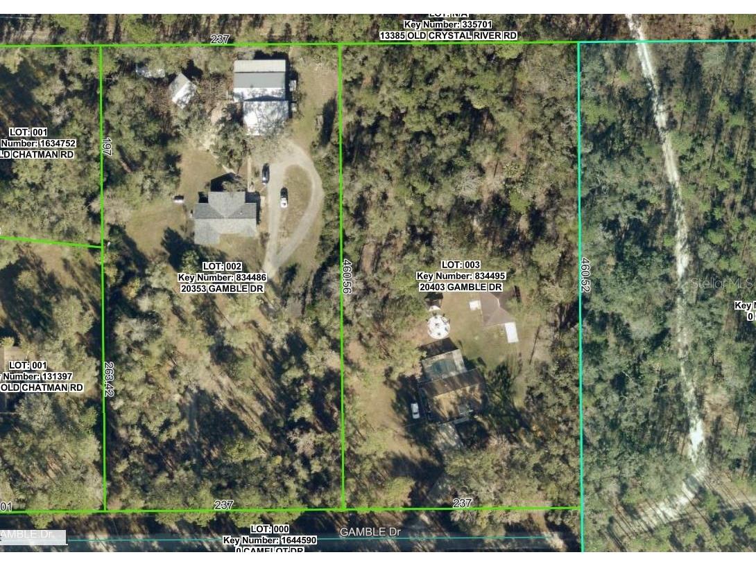 20403 Gamble Drive Brooksville FL 34601 TB8486924 image44