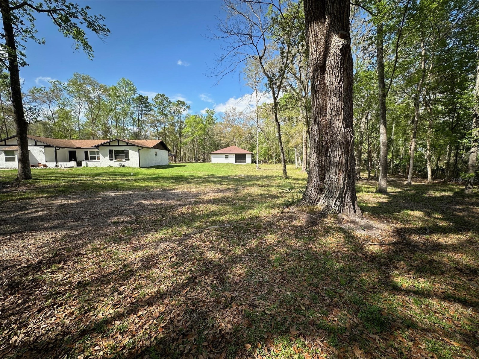 20403 Gamble Drive Brooksville FL 34601 TB8486924 image54
