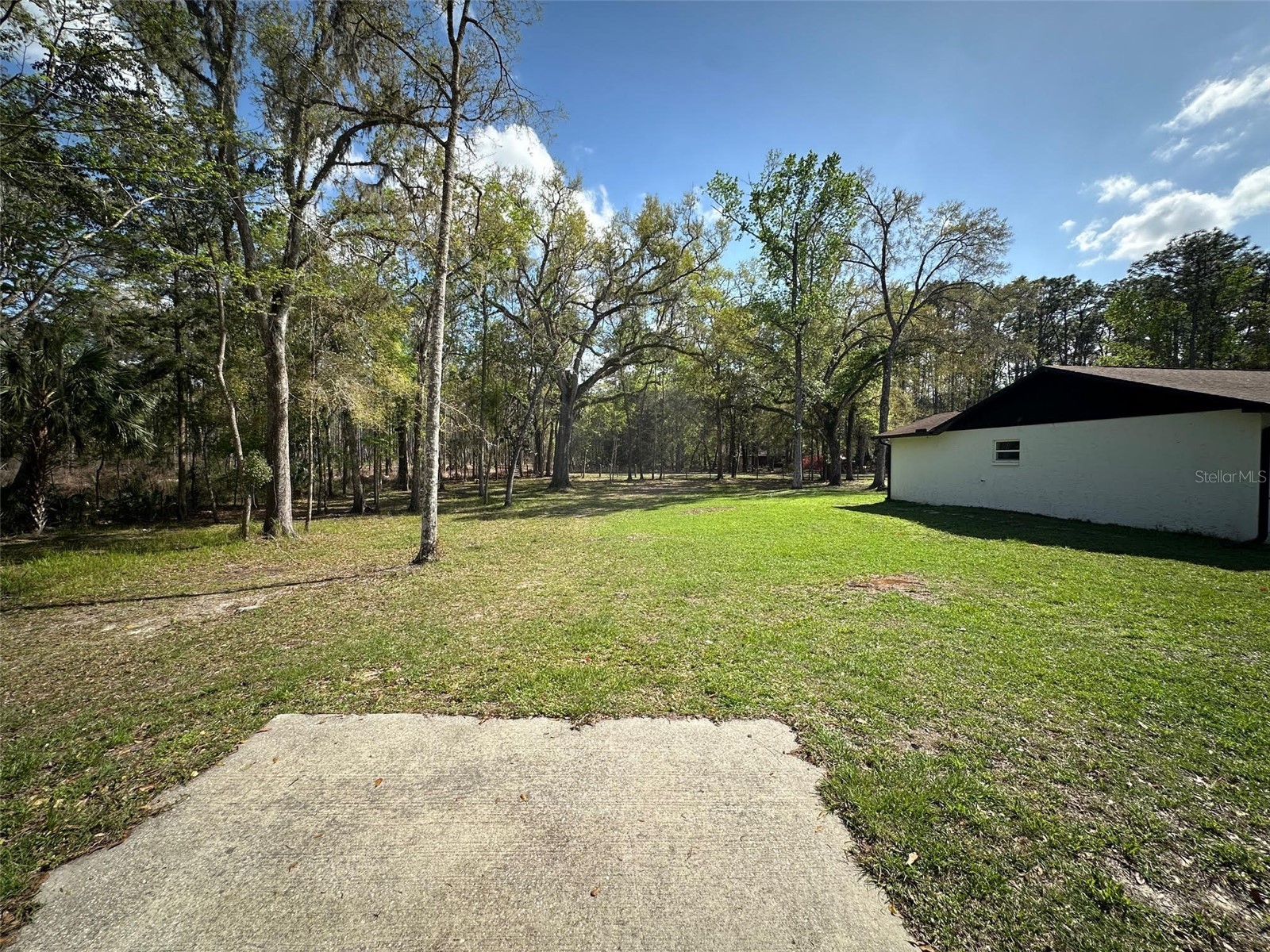 20403 Gamble Drive Brooksville FL 34601 TB8486924 image56
