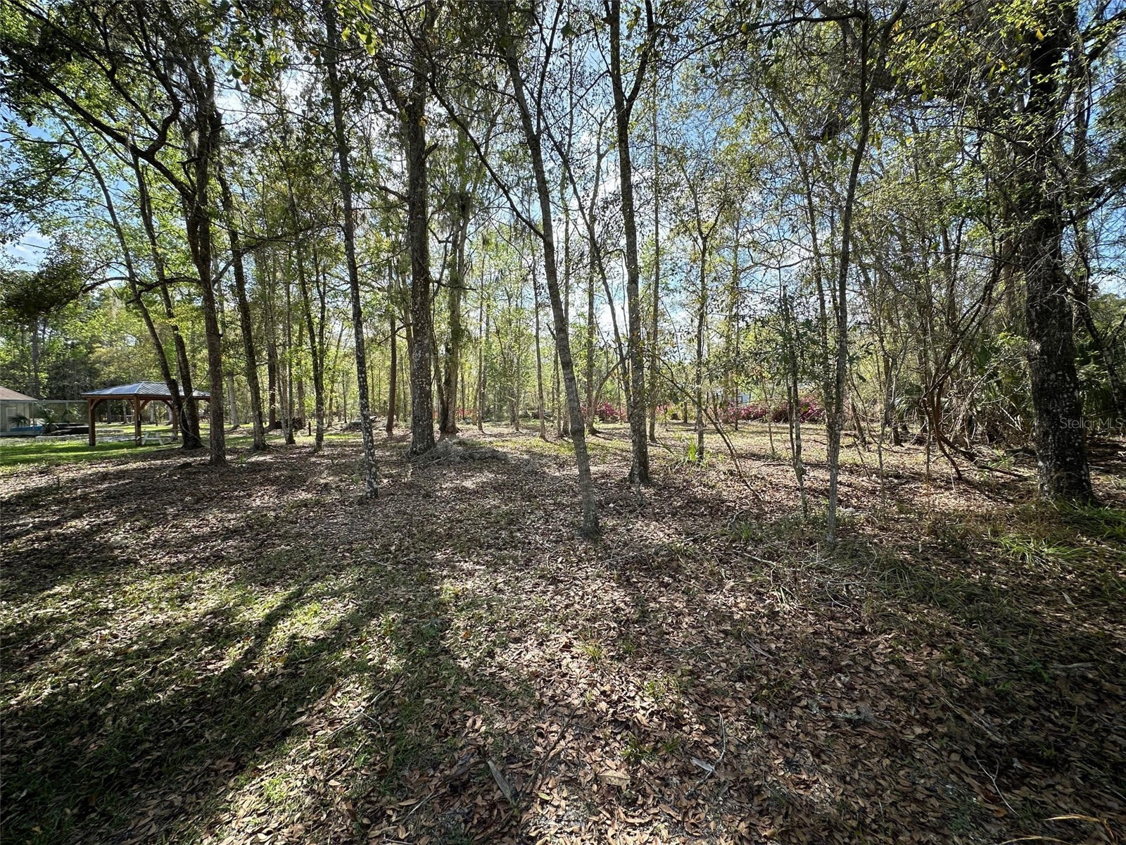 20403 Gamble Drive Brooksville FL 34601 TB8486924 image59