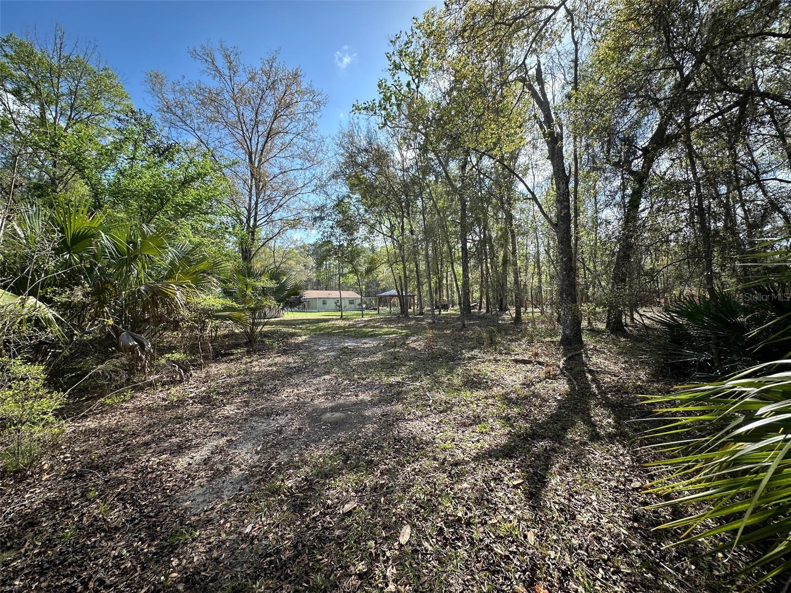 20403 Gamble Drive Brooksville FL 34601 TB8486924 image61