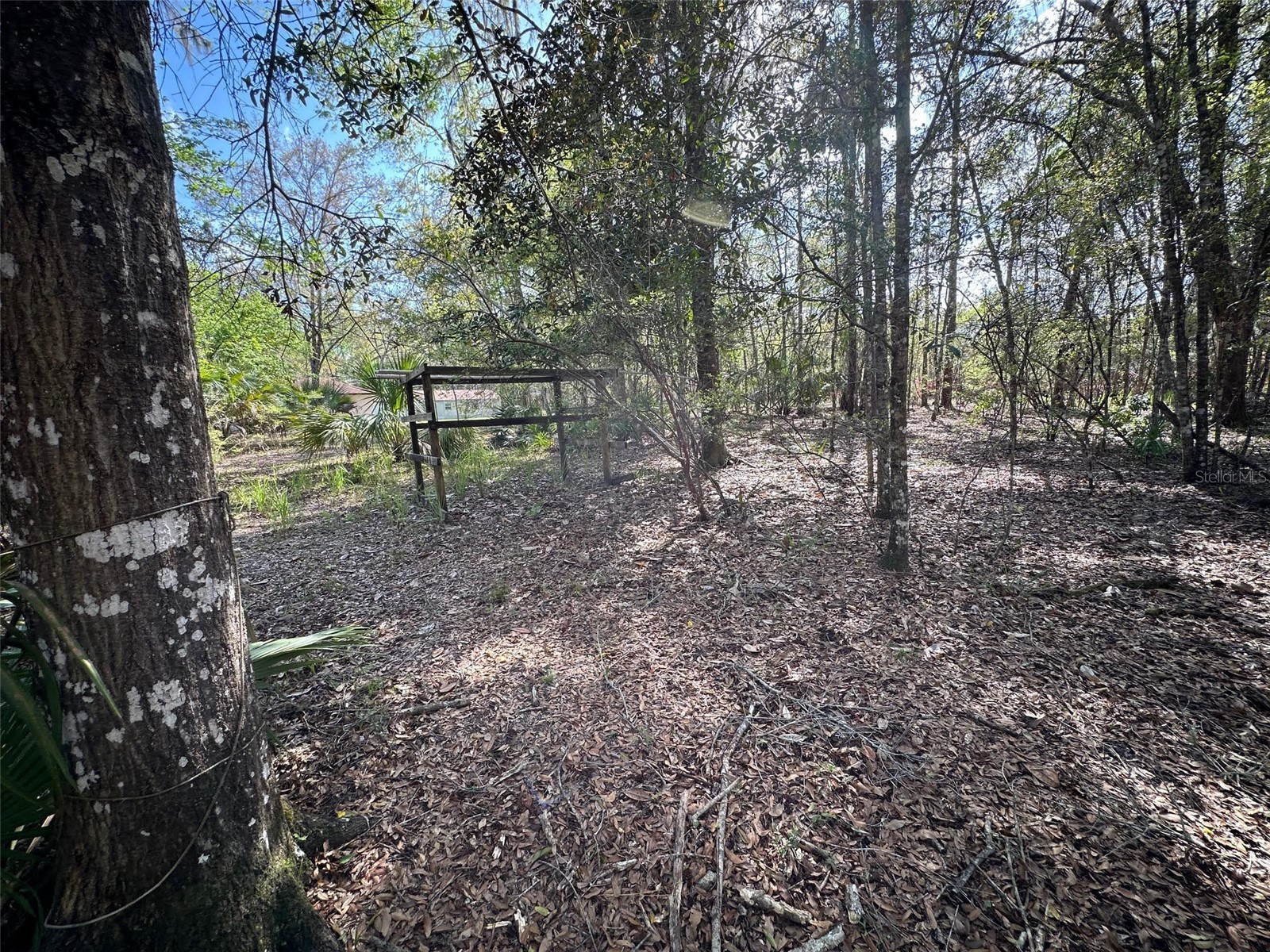 20403 Gamble Drive Brooksville FL 34601 TB8486924 image63