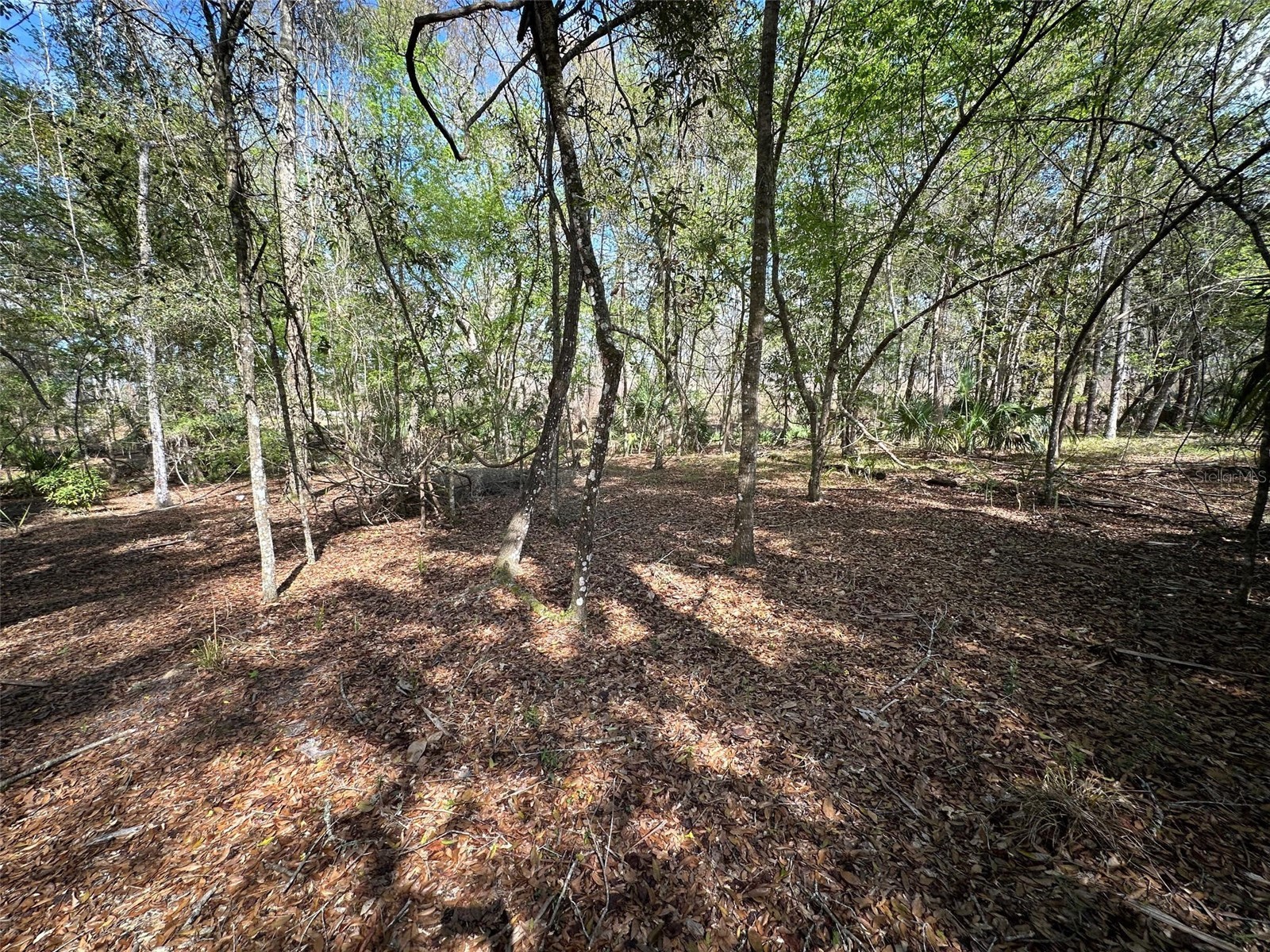 20403 Gamble Drive Brooksville FL 34601 TB8486924 image64
