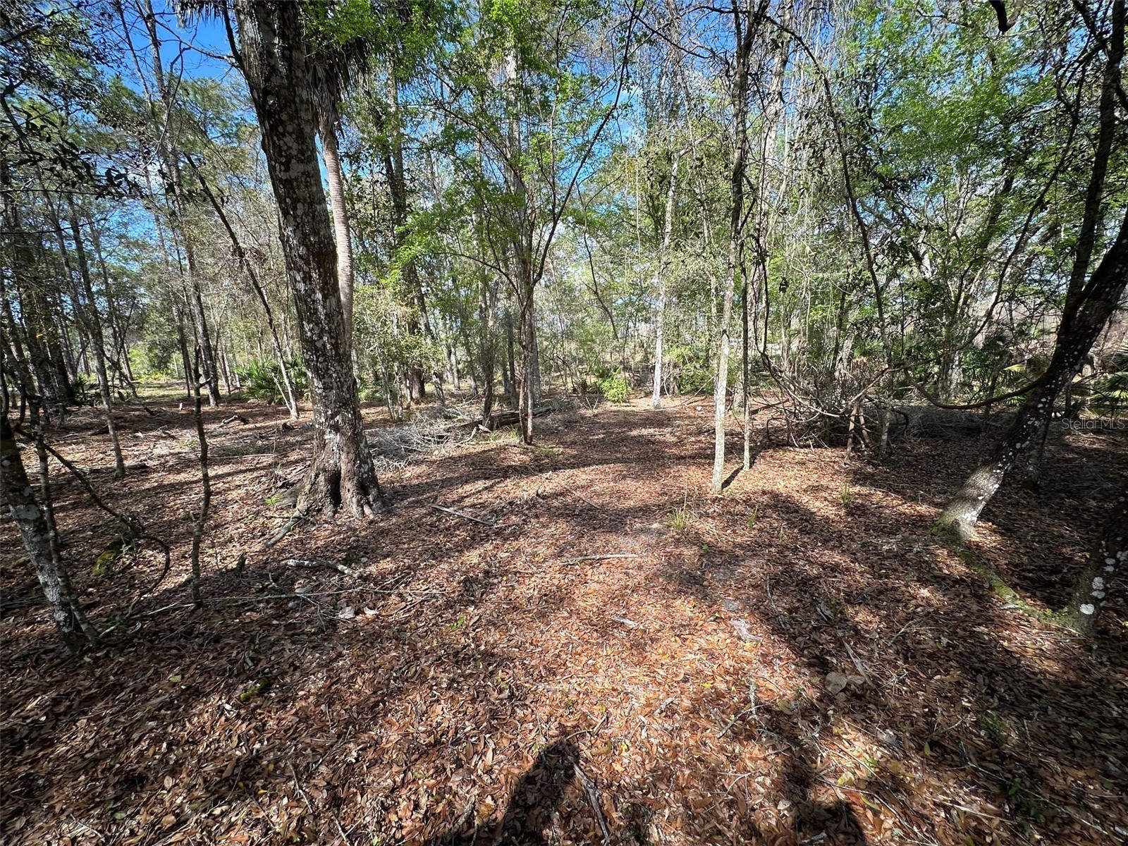 20403 Gamble Drive Brooksville FL 34601 TB8486924 image65