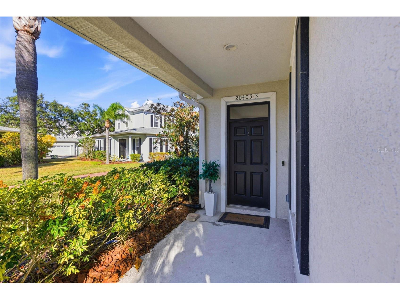 20405 Club Vista Lane #3 Tampa FL 33647 TB8464218 image2