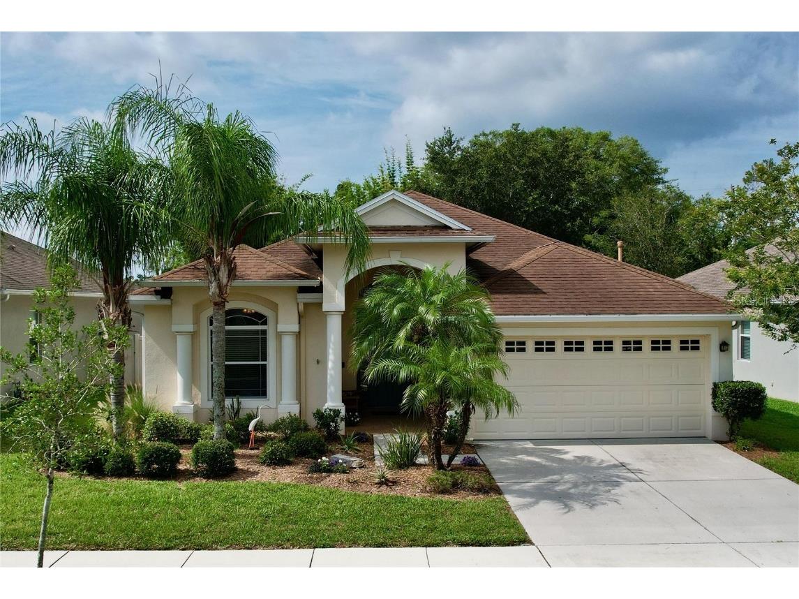 20406 Falling Rock Drive Land O Lakes FL 34638 T3454435 image1