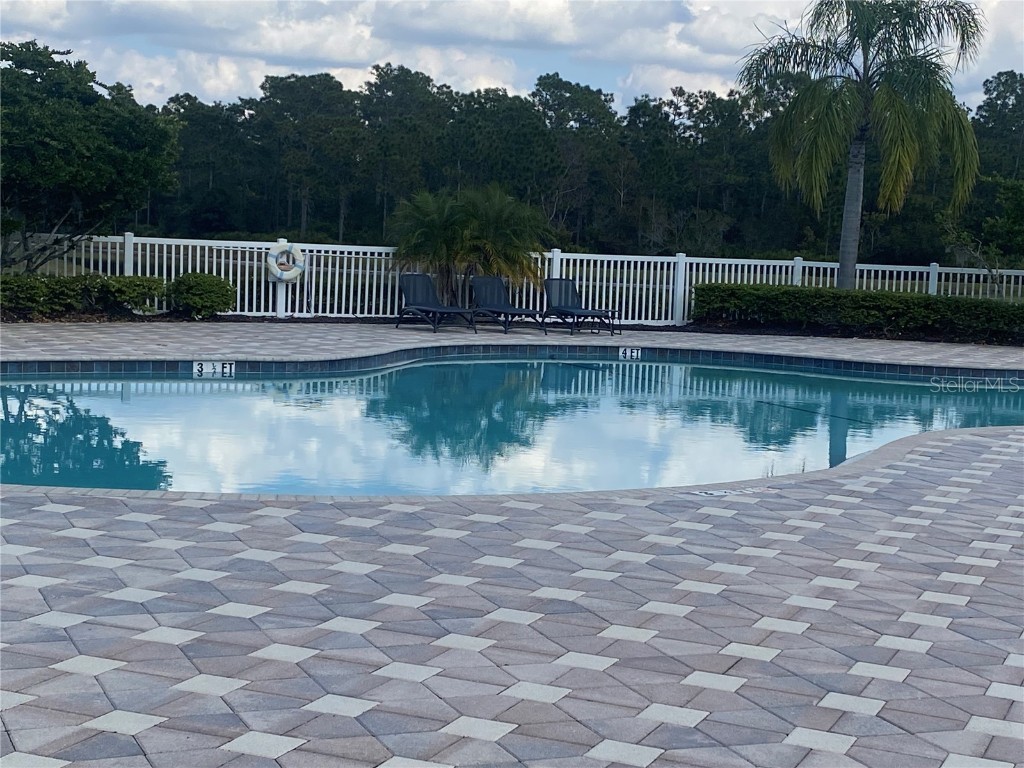 20406 Needletree Drive #20406 Tampa FL 33647 TB8449032 image29