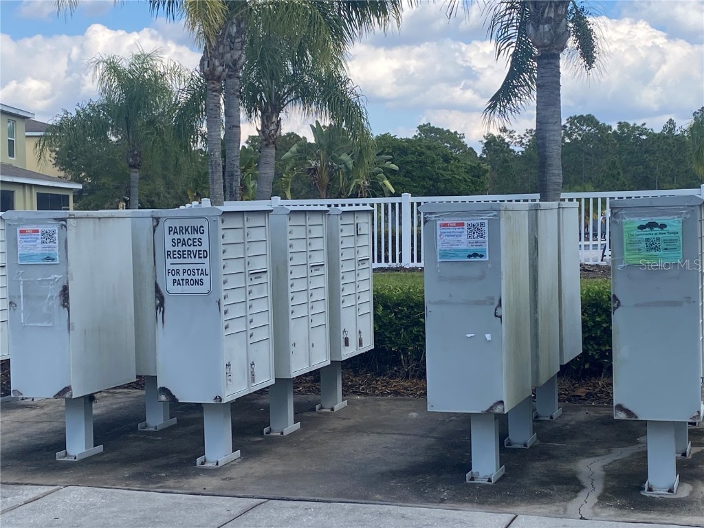 20406 Needletree Drive #20406 Tampa FL 33647 TB8449032 image33